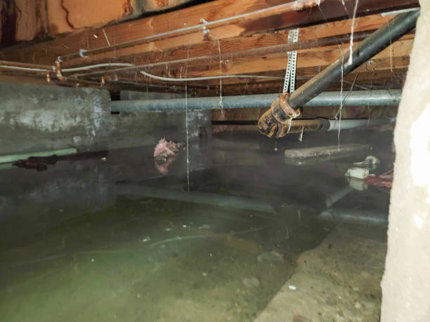 Best 24-hour water damage restoration  in St Augustine Beach, FL