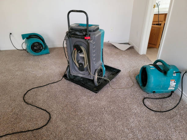 Best Water damage restoration near me  in St Augustine Beach, FL