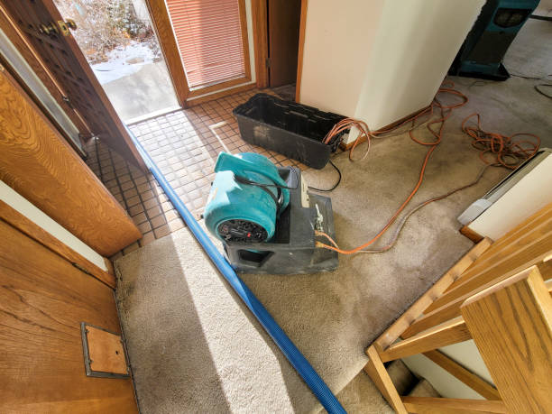 Best Fire Damage Restoration  in St Augustine Beach, FL