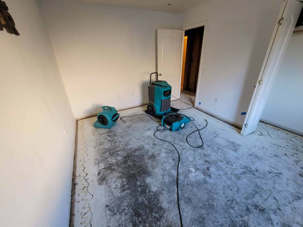 Water damage restoration experts in St Augustine Beach, FL