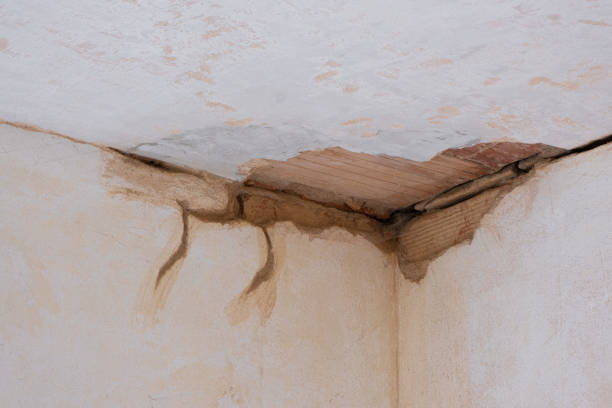Carpet water damage restoration in St Augustine Beach, FL