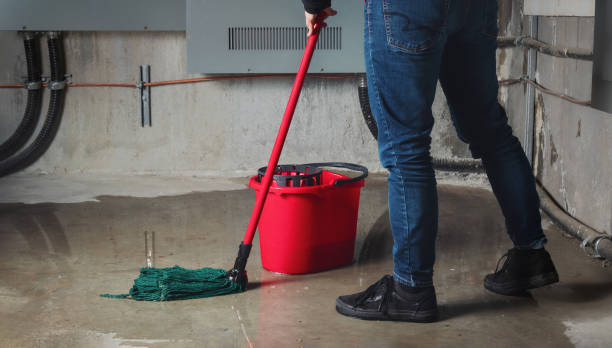 Best Carpet water damage restoration  in St Augustine Beach, FL