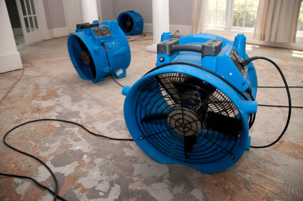  St Augustine Beach, FL Water damage restoration Pros