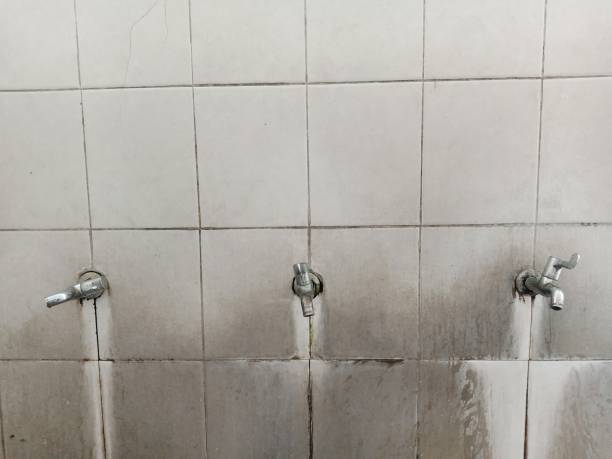 Best Local water damage restoration  in St Augustine Beach, FL