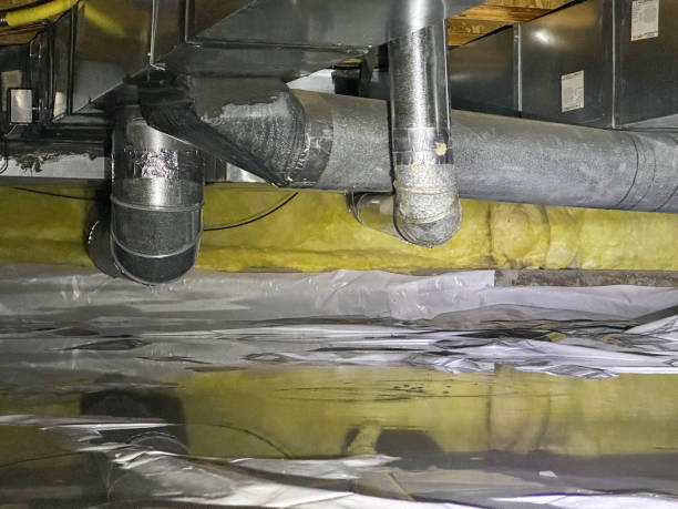 Best Flooded house restoration  in St Augustine Beach, FL