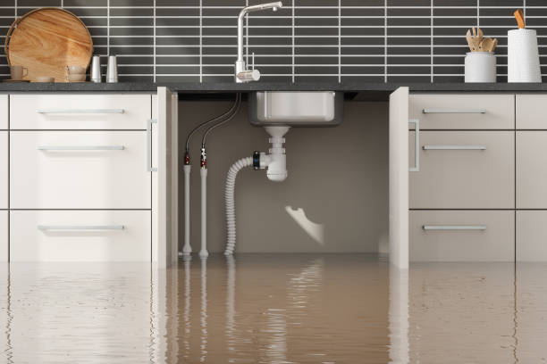 Best Commercial water damage restoration  in St Augustine Beach, FL