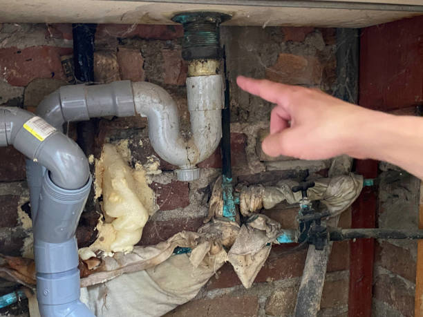 Best Water damage cleanup near me  in St Augustine Beach, FL