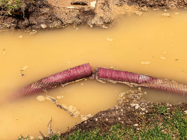 Trusted St Augustine Beach, FL Water damage restoration Experts