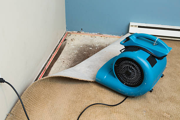 Local water damage restoration in St Augustine Beach, FL